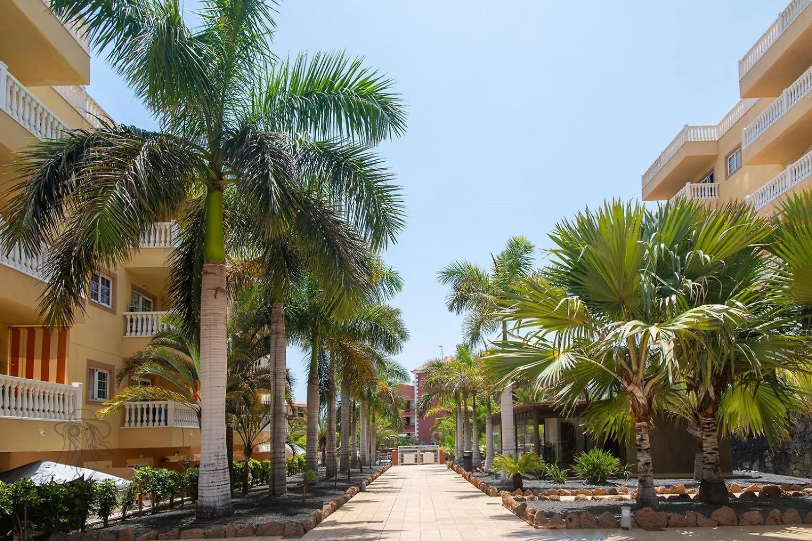Apartman Mar Primavera アロナ スペイン